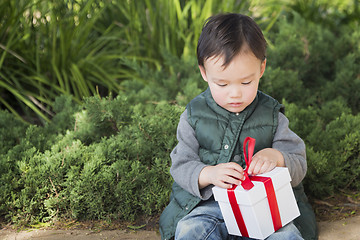 Image showing Mixed Race Boy Opening A Christmas Gift Outdoors