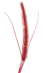 Image showing Red Christmas decoration