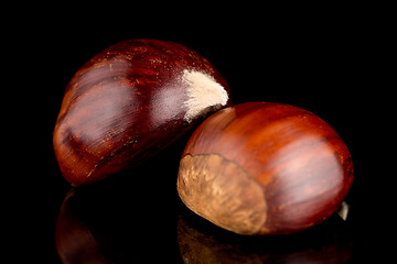 Image showing Chestnuts on a black reflective background