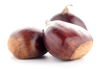 Image showing Chestnuts with shell 