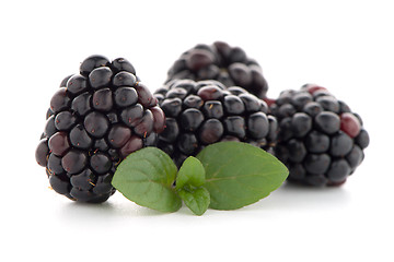 Image showing Blackberries with leaves