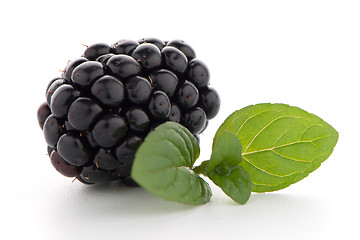 Image showing Blackberries with leaves