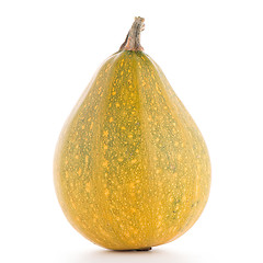 Image showing Pumpkin