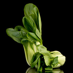 Image showing Pak choi on black 