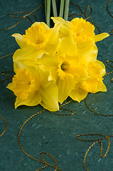 Image showing Jonquil flowers