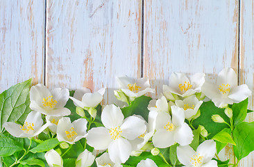 Image showing jasmine spring flowers frame on white background