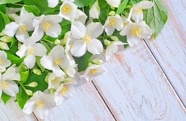 Image showing jasmine spring flowers frame on white background