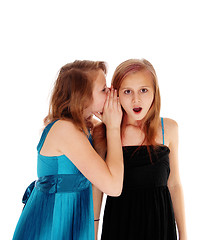 Image showing Two girls sharing secrets.