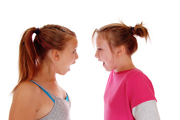 Image showing Two sisters shouting at each other.