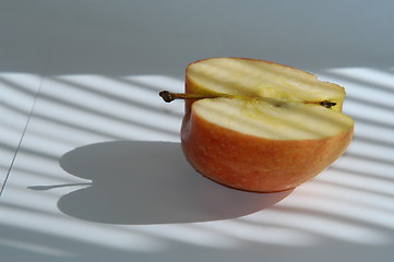 Image showing Apple_13.04.2005