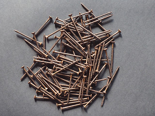 Image showing Wood screw