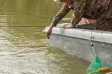 Image showing Fisherman caught a catfish