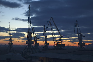 Image showing Twilight river cranes