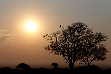 Image showing African sunset