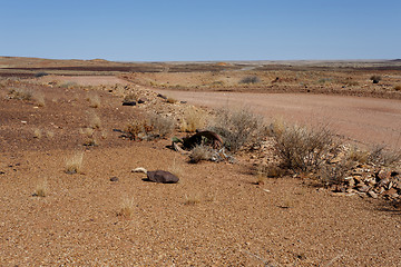 Image showing fantrastic Namibia desert landscape