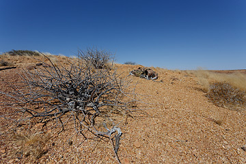 Image showing fantrastic Namibia desert landscape