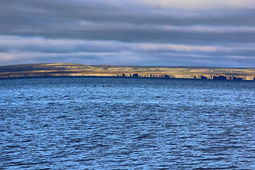 Image showing The Barents sea and coast of Vaygach island