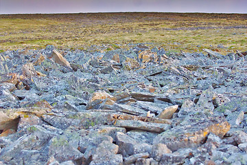 Image showing Chaotic accumulation of stones that are pushed to surface by permafrost. Novaya Zemlya archipelago, Russian Arctic