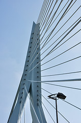 Image showing Erasmus bridge in Rotterdam Netherlands Holland