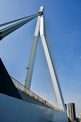 Image showing Erasmus bridge in Rotterdam Netherlands Holland