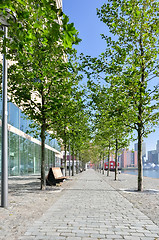 Image showing paved pedestrian promenade in Rotterdam Netherlands Holland