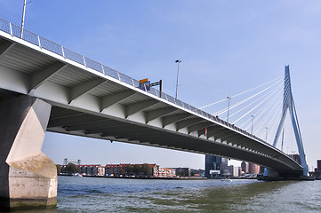 Image showing Erasmus bridge in Rotterdam Netherlands Holland