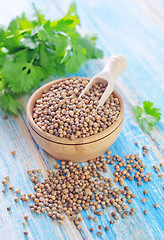 Image showing coriander