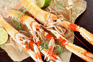 Image showing Delicious Raw Langoustines