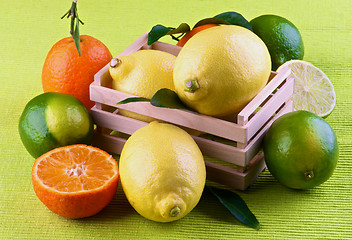 Image showing Various Citrus Fruits