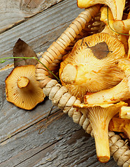 Image showing Raw Chanterelles Mushrooms