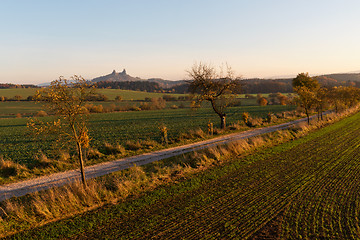 Image showing Morning landscape and Trosky Castle, Czech Republic