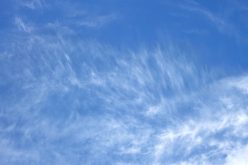 Image showing Branched high white clouds