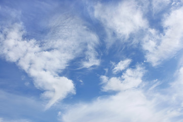 Image showing Amazing clouds of various forms