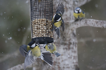 Image showing food fight