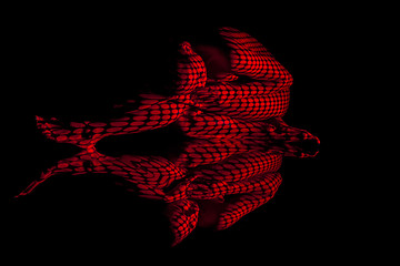 Image showing The  body of woman with red pattern and its reflection