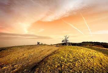 Image showing Pink sunset in autumn