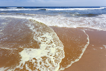 Image showing Coastline in the Namib desert