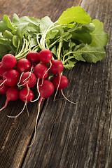 Image showing Red radish