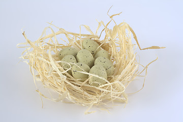 Image showing Eggs