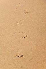 Image showing footprints on the beach