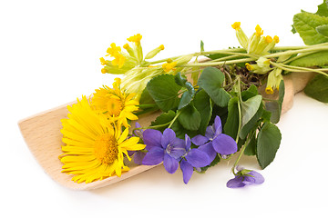 Image showing Coltsfoot and violets on a wooden scoop