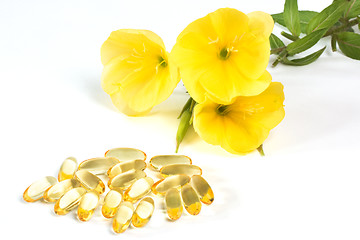 Image showing Evening primroses with gelatin capsules