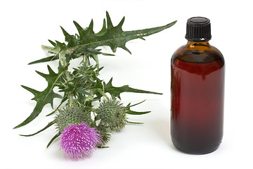 Image showing Extract of milk thistle