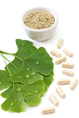 Image showing Ginkgo capsules and dried ginkgo