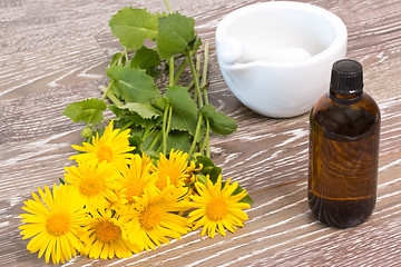 Image showing Cough drops with coltsfoot