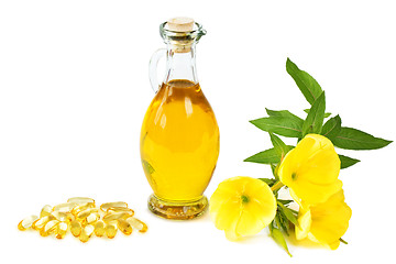 Image showing Evening primrose oil capsules