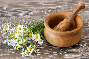 Image showing Medical chamomile