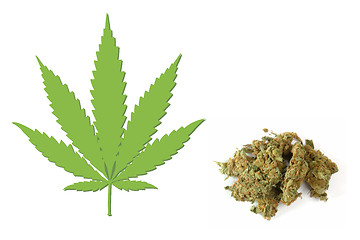Image showing Cannabis sativa