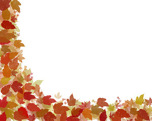 Image showing autumn leaves