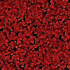 Image showing blood cells